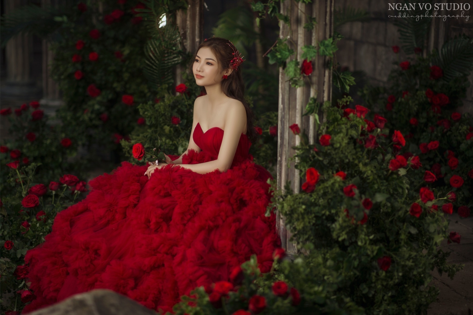 L'amour - Concept Hoa Hồng Đỏ